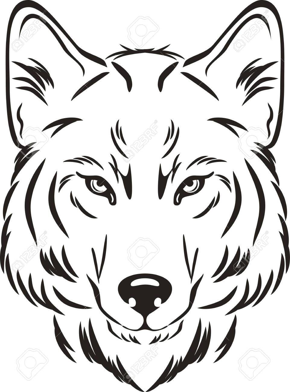 Google Image Result For Previews 123rf Com Images Teddy07b Teddy07b1911 Teddy07b 1 Wolf Face Drawing Wolf Illustration Wolf Head Drawing Google Image Result For Previews 123rf Com Images Teddy07b Teddy07b1911 Teddy07b 1 Wolf Face Drawing Wolf Illustration Wolf Head Drawing
