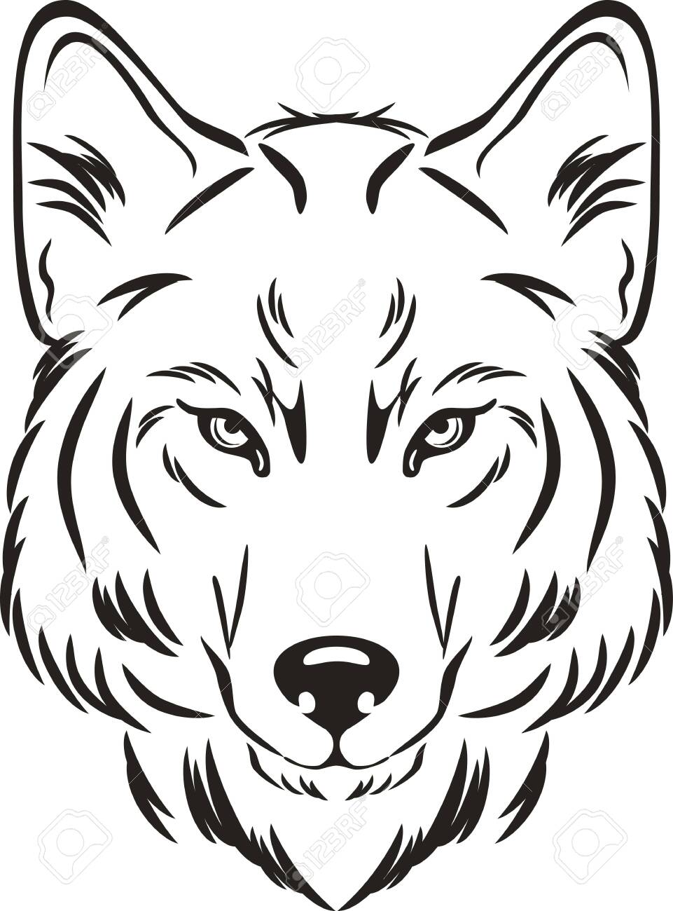 Wolf Head Drawing HighQuality  Drawing Skill