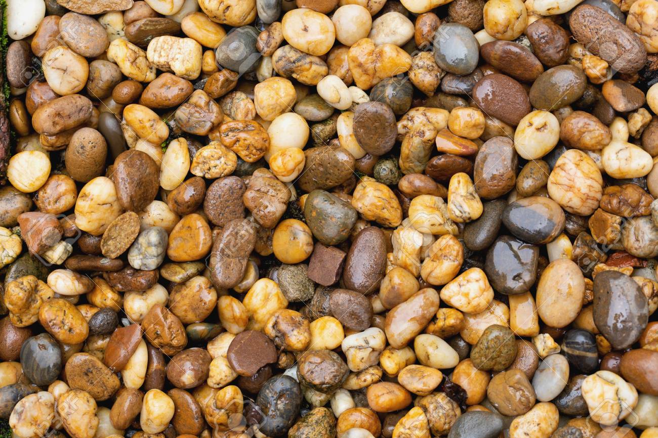 Garden Floor Full With Small Grey Yellow And Brown Stones Rocks