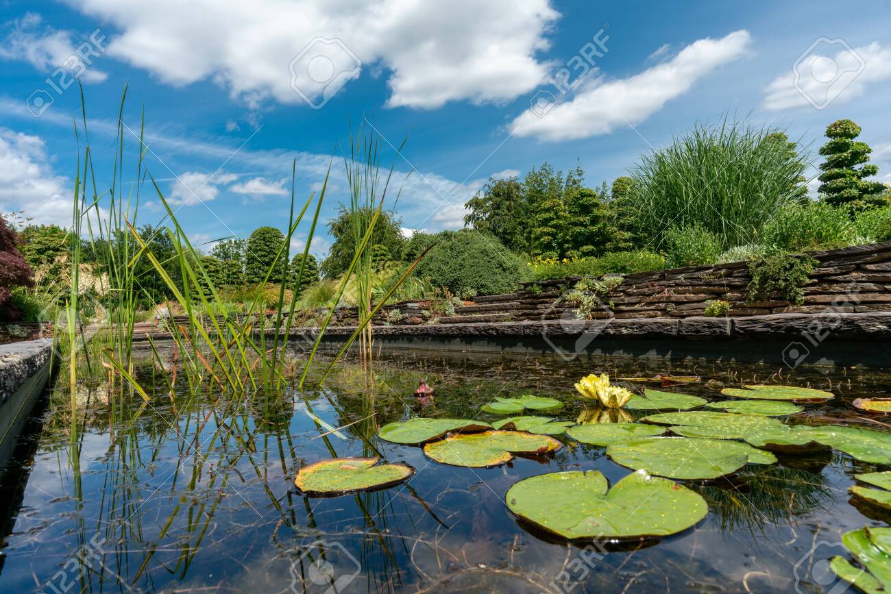 【wordofhonor75】Windflower、Pond Sunflower Crochet Wind Spinner, Yard Art, Fiber Art, Yard