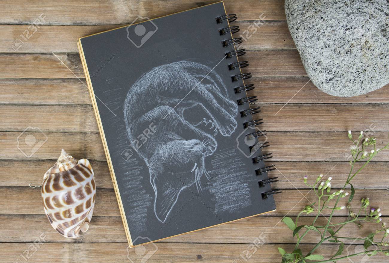大量入荷 渦巻 水彩画背景イラスト 猫 紙 段ボール Astrouprock Com