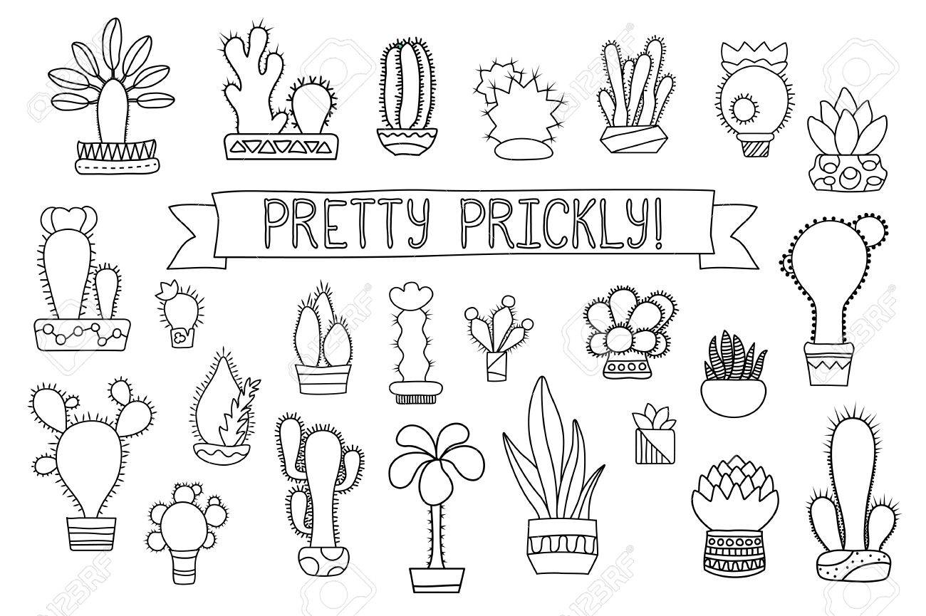 cactus de línea fina y clipart suculento iconos de cactus y