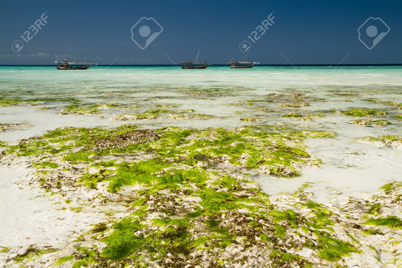 La Belle Plage Et Mer De Zanzibar Dans L 39 Océan Indien