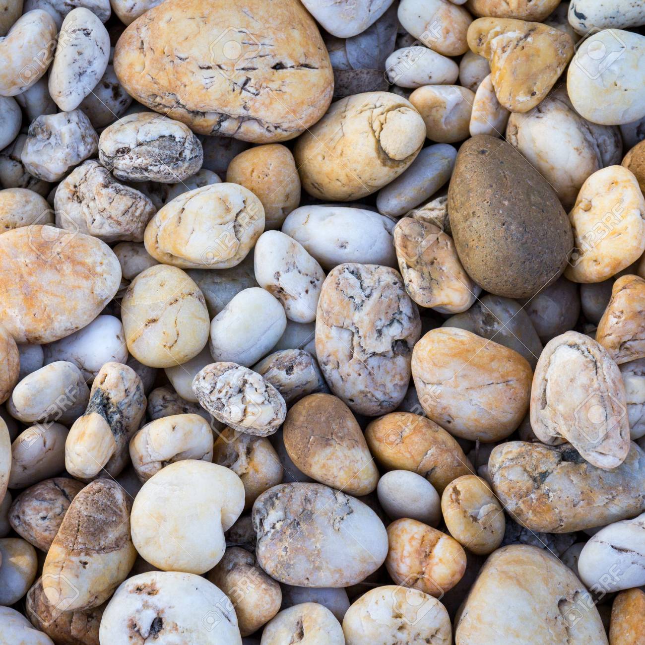 Pebbles Stone Or River Stone Background Stock Photo Picture And Royalty Free Image Image 90542041