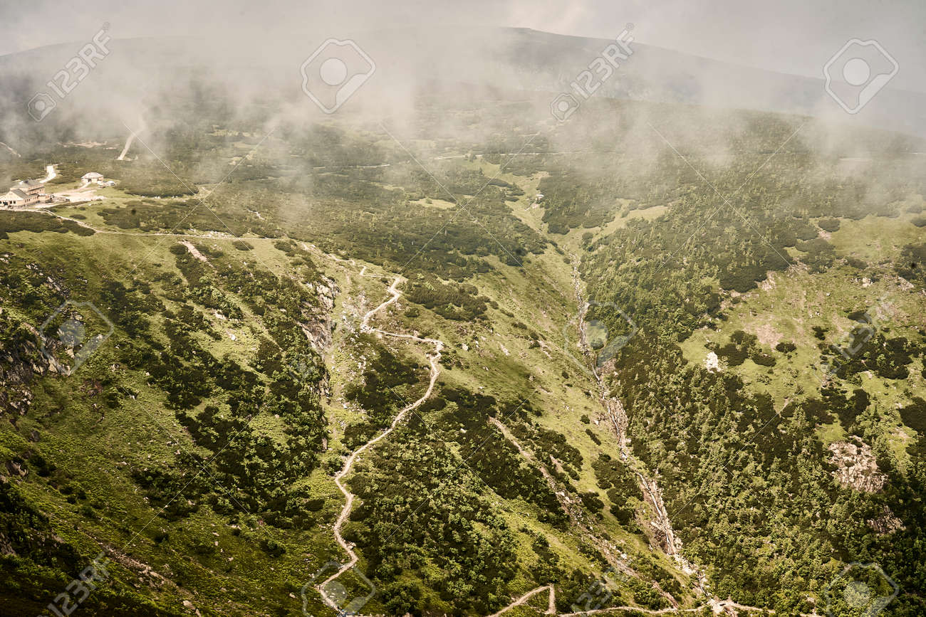 etiam-dictum-ipsum-a-felis