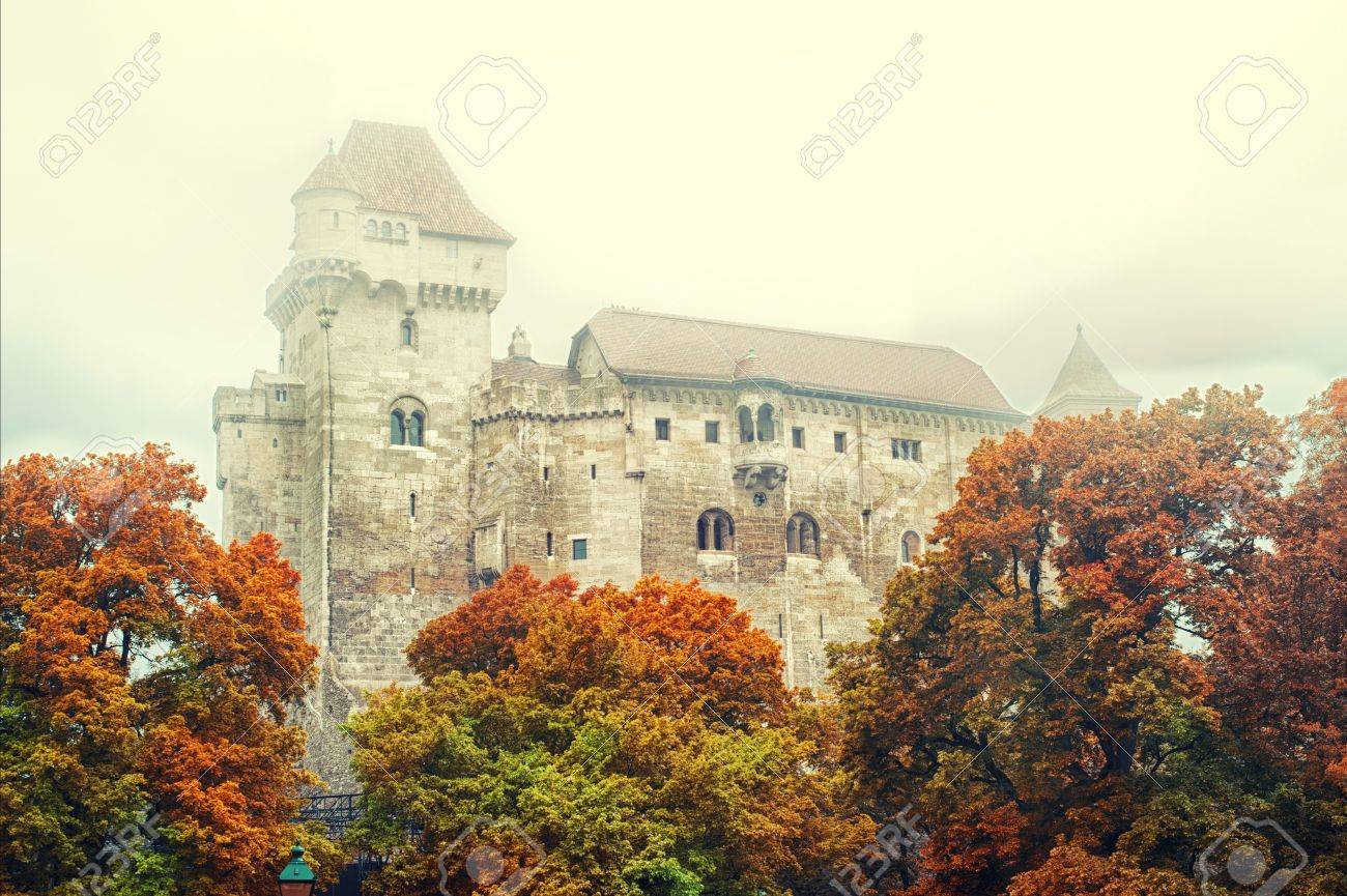 etiam-dictum-ipsum-a-felis