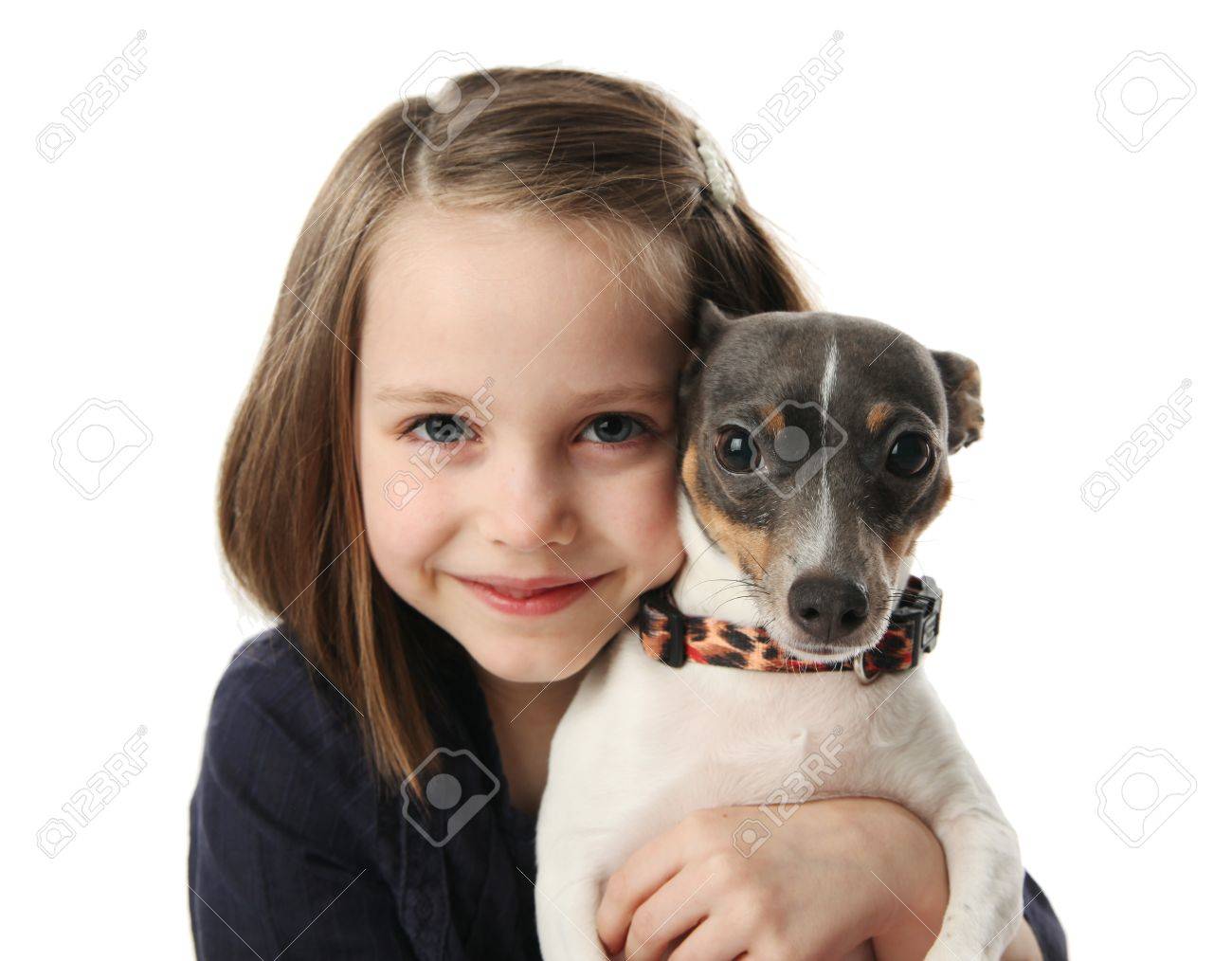 Portrait of a beautiful young girl snuggling with a cute terrier puppy dog, isolated on white in studio - 8809336 Portrait of a beautiful young girl snuggling with a cute terrier puppy dog, isolated on white in studio - 8809336