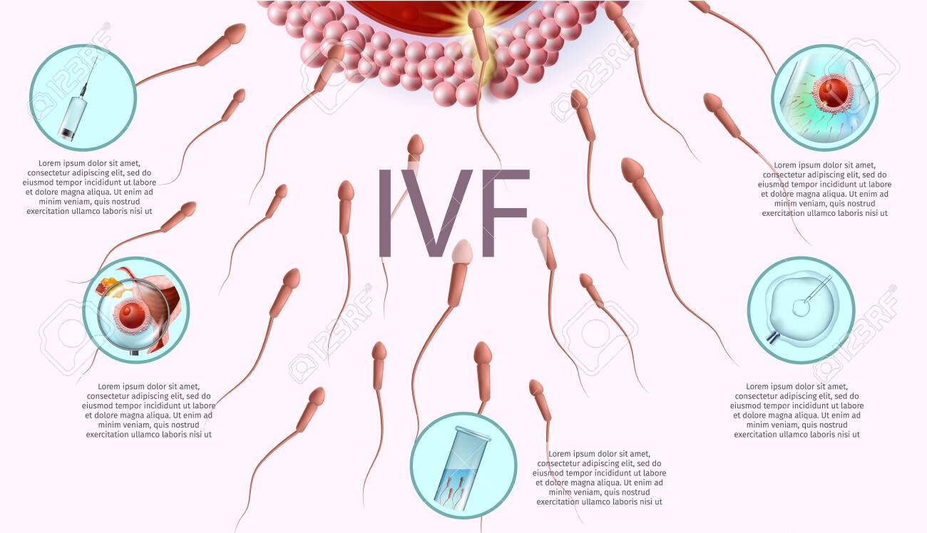 Human Reproduction and in vitro Fertilisation
