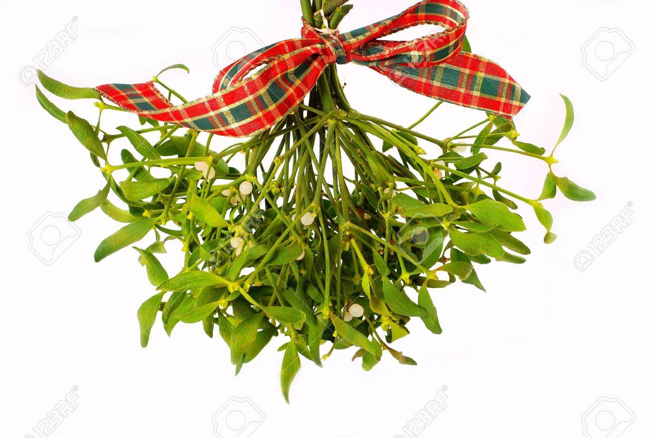 Bunch Of Hanging Mistletoe With Ribbon Isolated On White Stock Photo Picture And Royalty Free Image Image