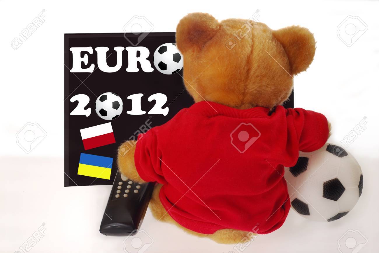 remote control teddy bear