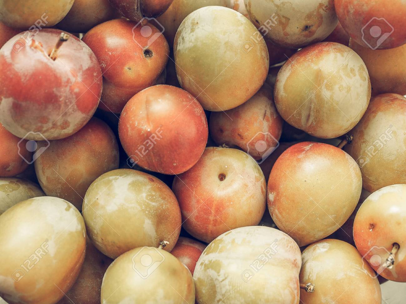 Sand cake with plums: recipes are very different Sand cake with plums: recipes are very different
