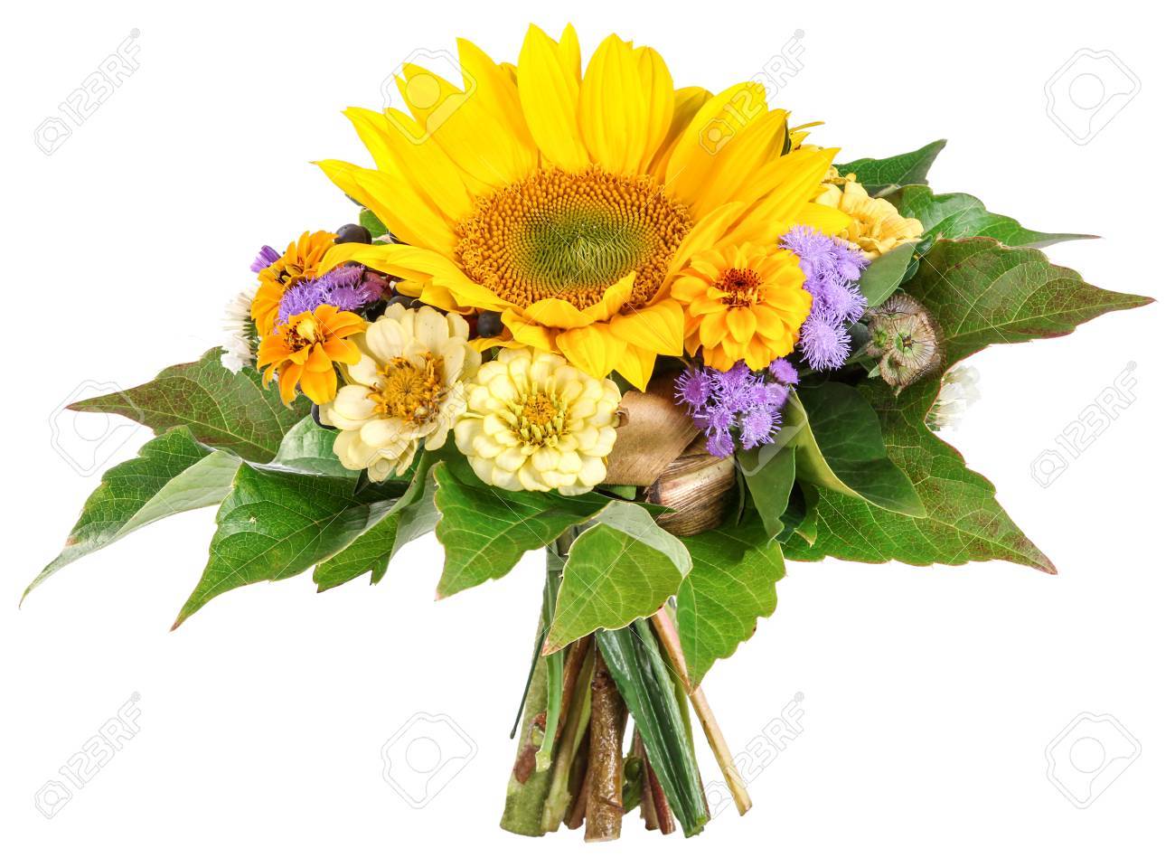 太陽の花 ソリダゴ 百日草の花束 の写真素材 画像素材 Image