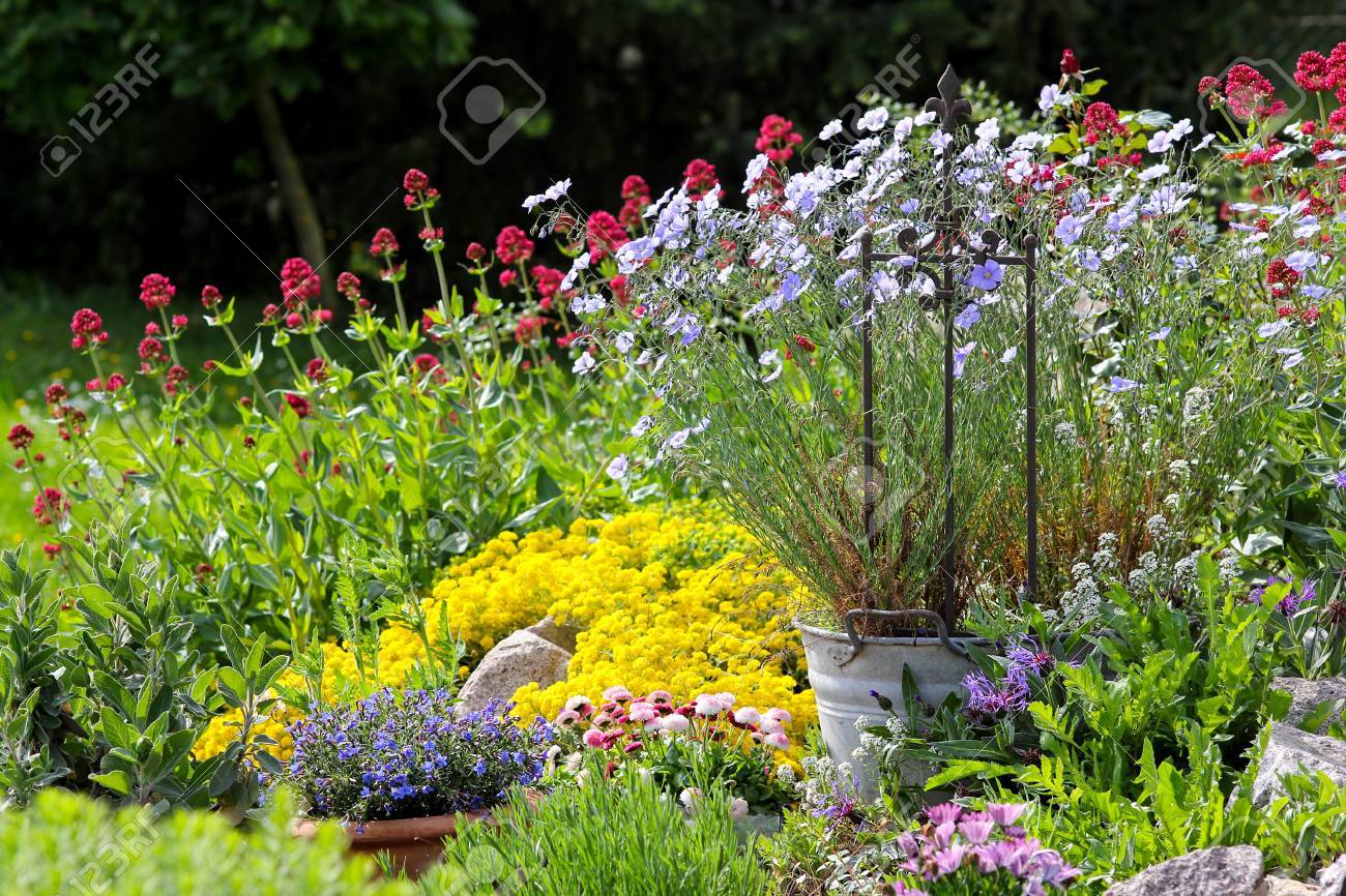 ガーデニング ガーデニング風景 の写真素材 画像素材 Image