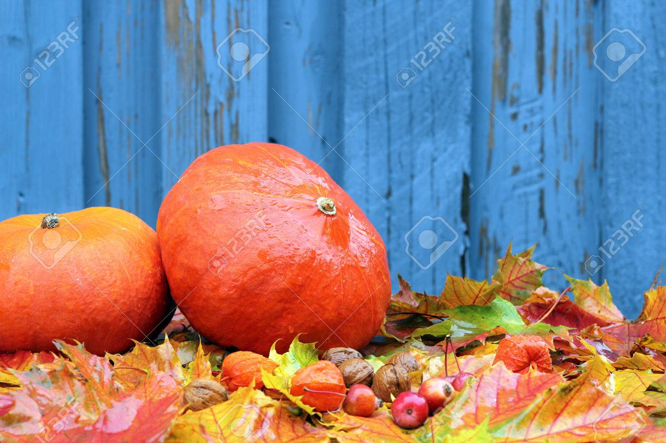 Autumn background with pumpkins, and leavesl - 32926146 Autumn background with pumpkins, and leavesl - 32926146