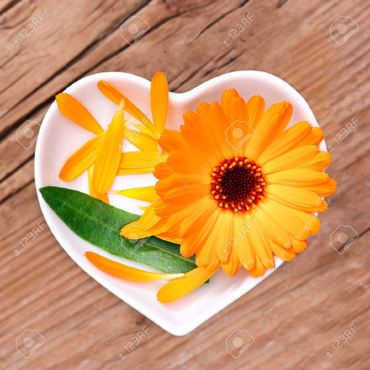 Homeopathy and cooking with calendula - 61826780 Homeopathy and cooking with calendula - 61826780