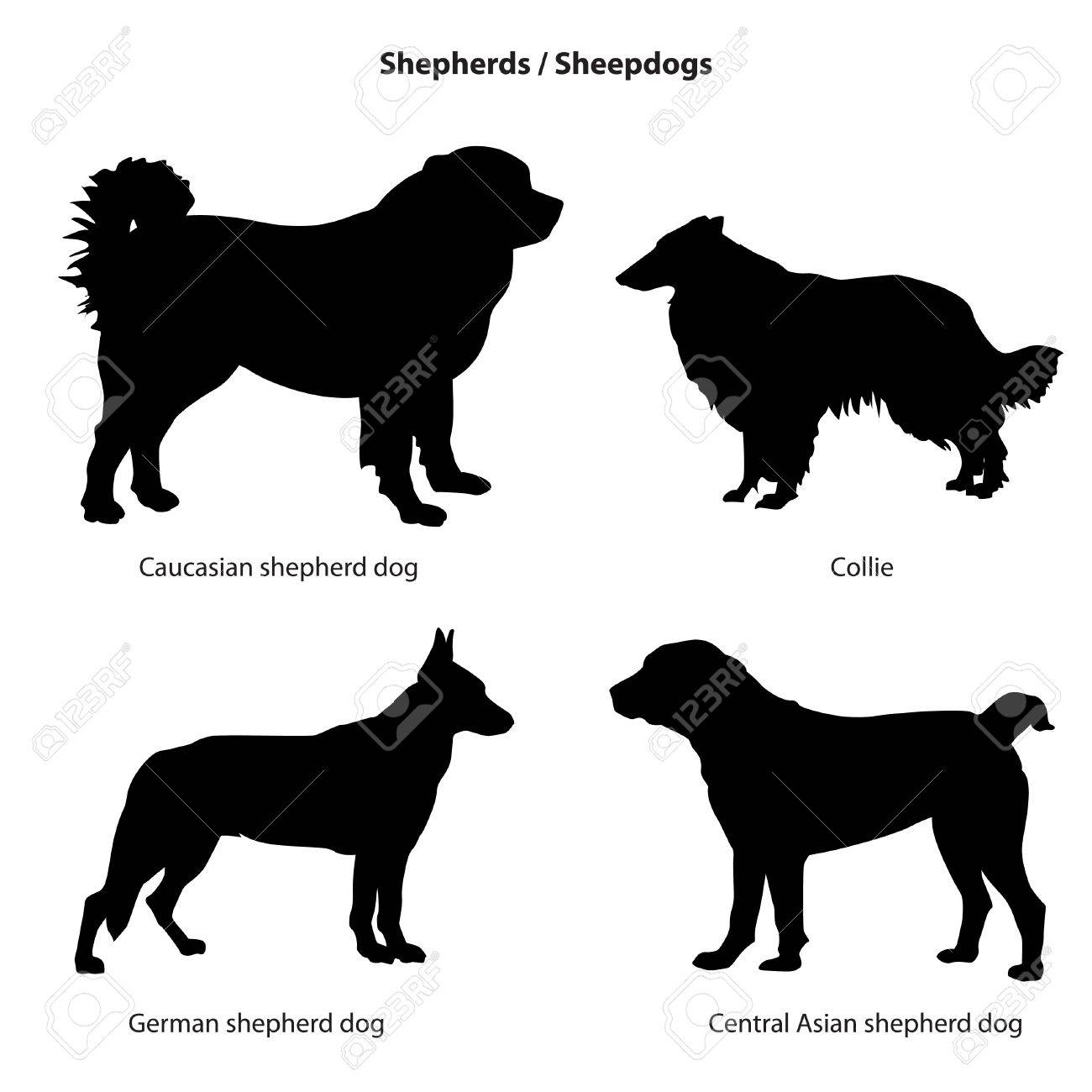 犬シルエット アイコンを設定 Sheped 犬のコレクションです Sheedogs のイラスト素材 ベクタ Image