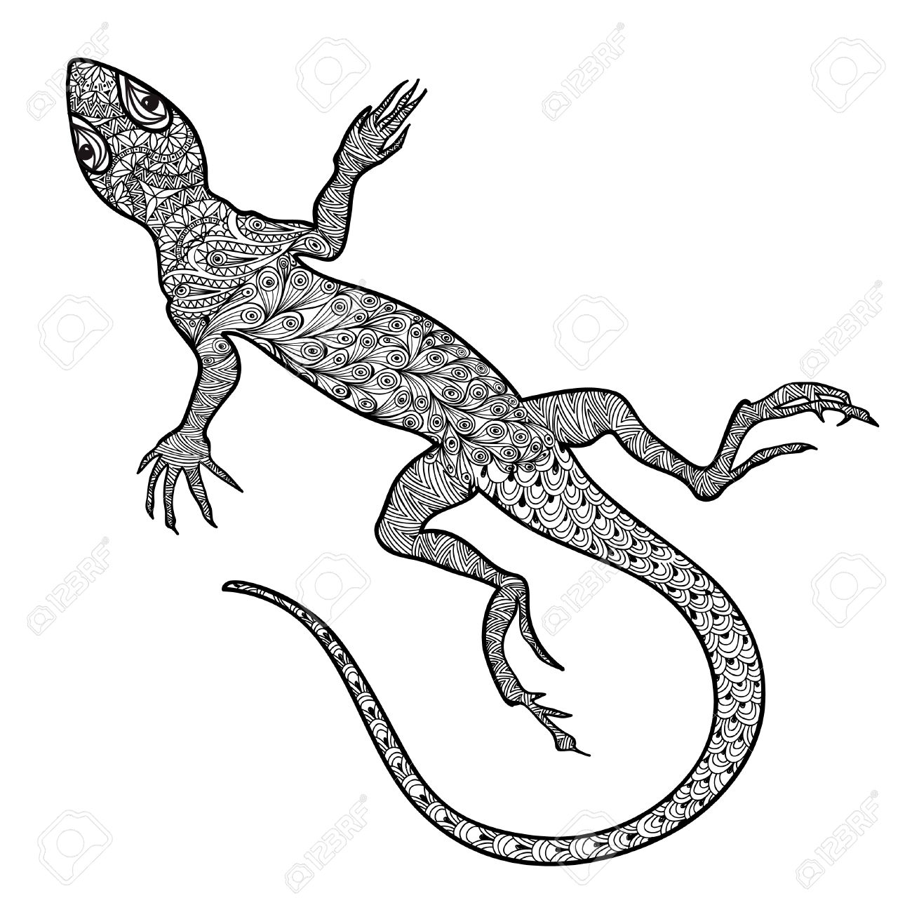 Lizard Isolated. Hand Drawn Vector Salamander With Ethnic Tribal ... for House Lizard Drawing
131fsj Lizard Isolated. Hand Drawn Vector Salamander With Ethnic Tribal ... for House Lizard Drawing
131fsj