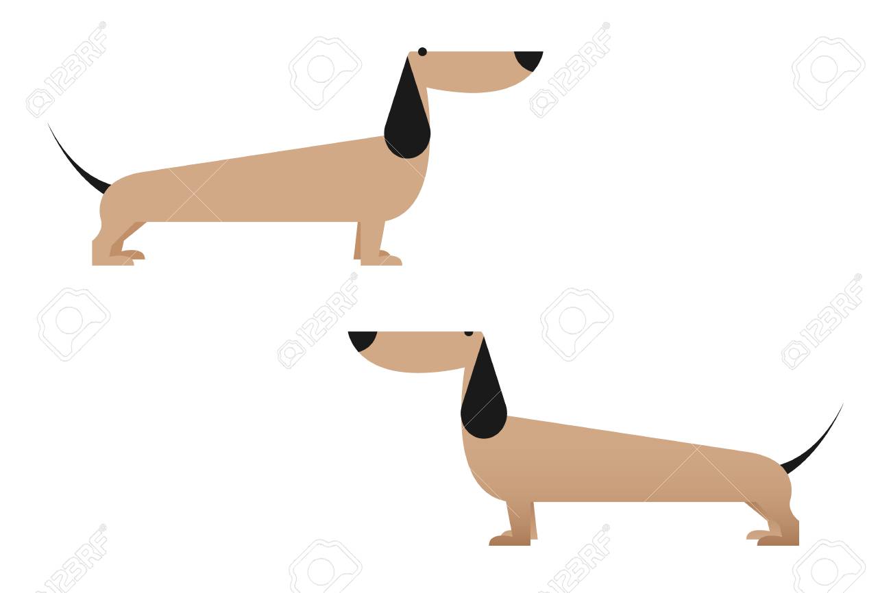 Tax: character, description and photo. Dachshund character - boy and girl 95 Tax: character, description and photo. Dachshund character - boy and girl 20