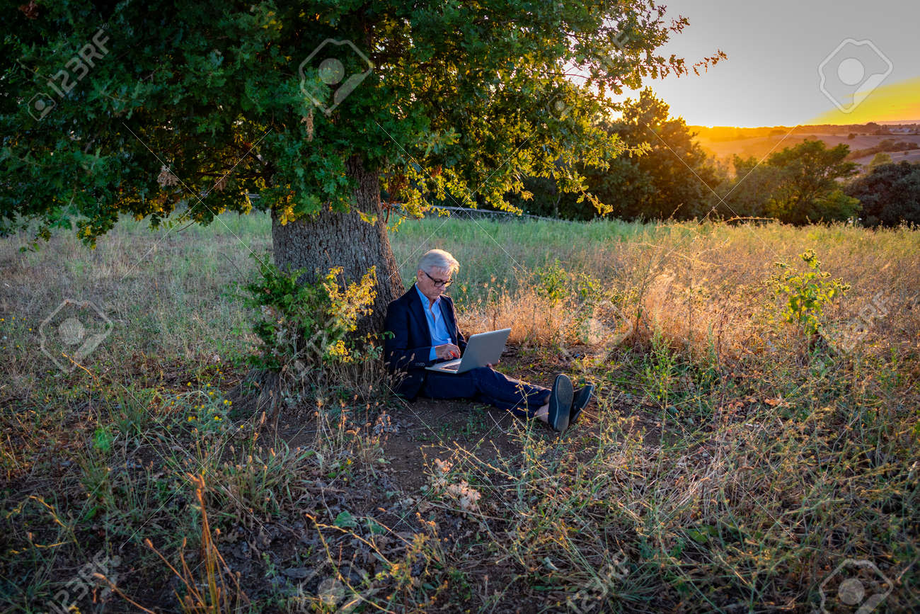Senior businessman with laptop working under the magic tree at sunset - 163713638 Senior businessman with laptop working under the magic tree at sunset - 163713638