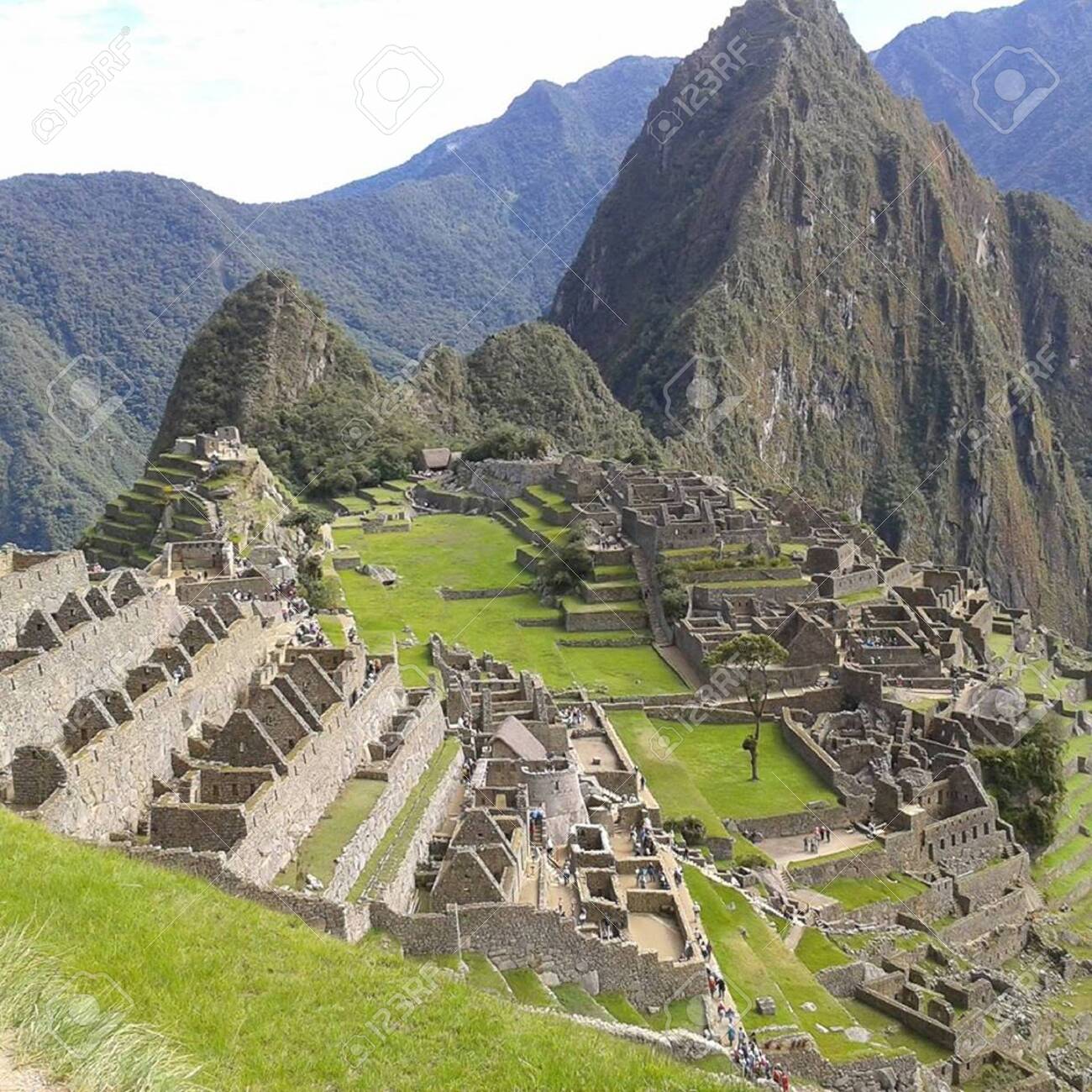 etiam-dictum-ipsum-a-felis