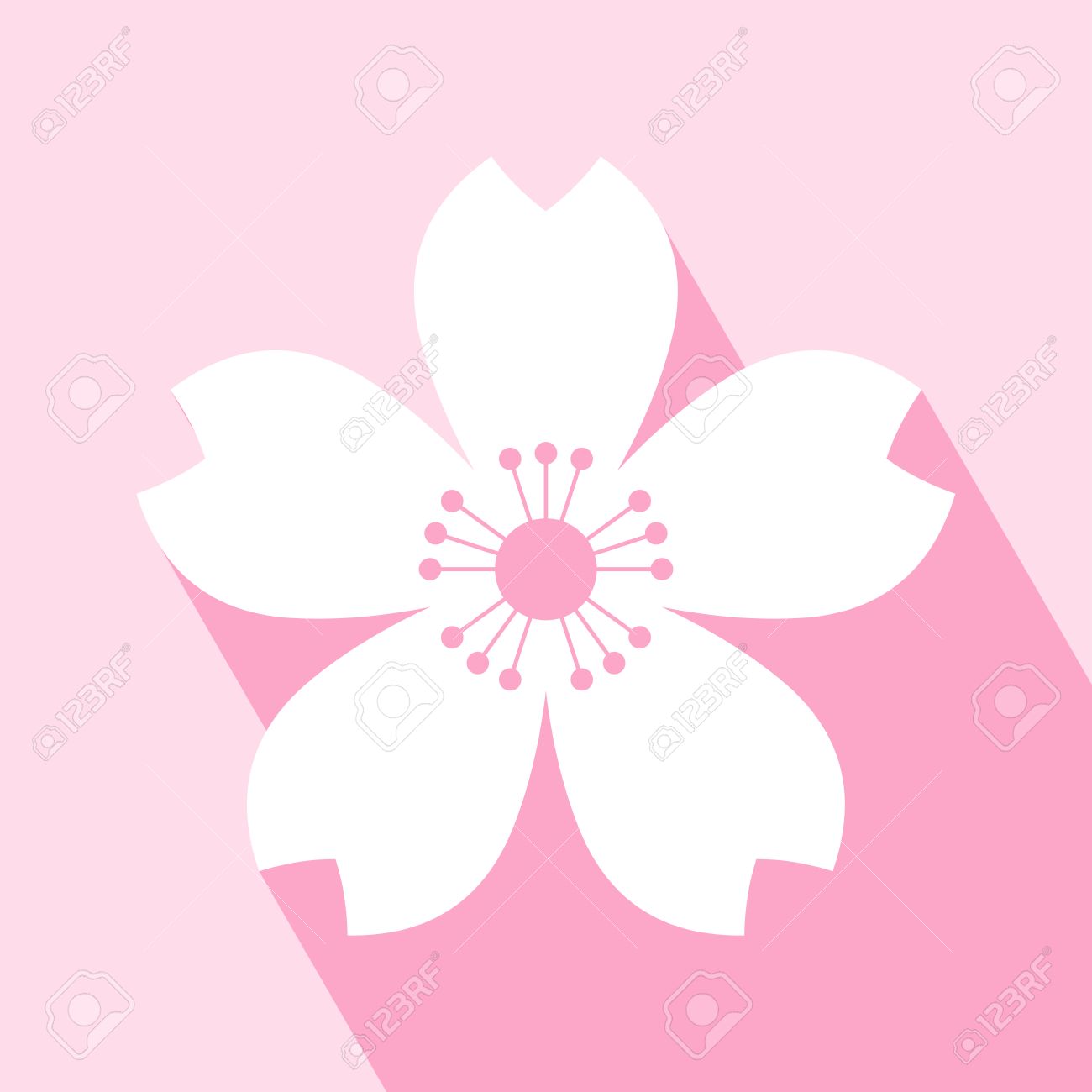 sakura blossom design