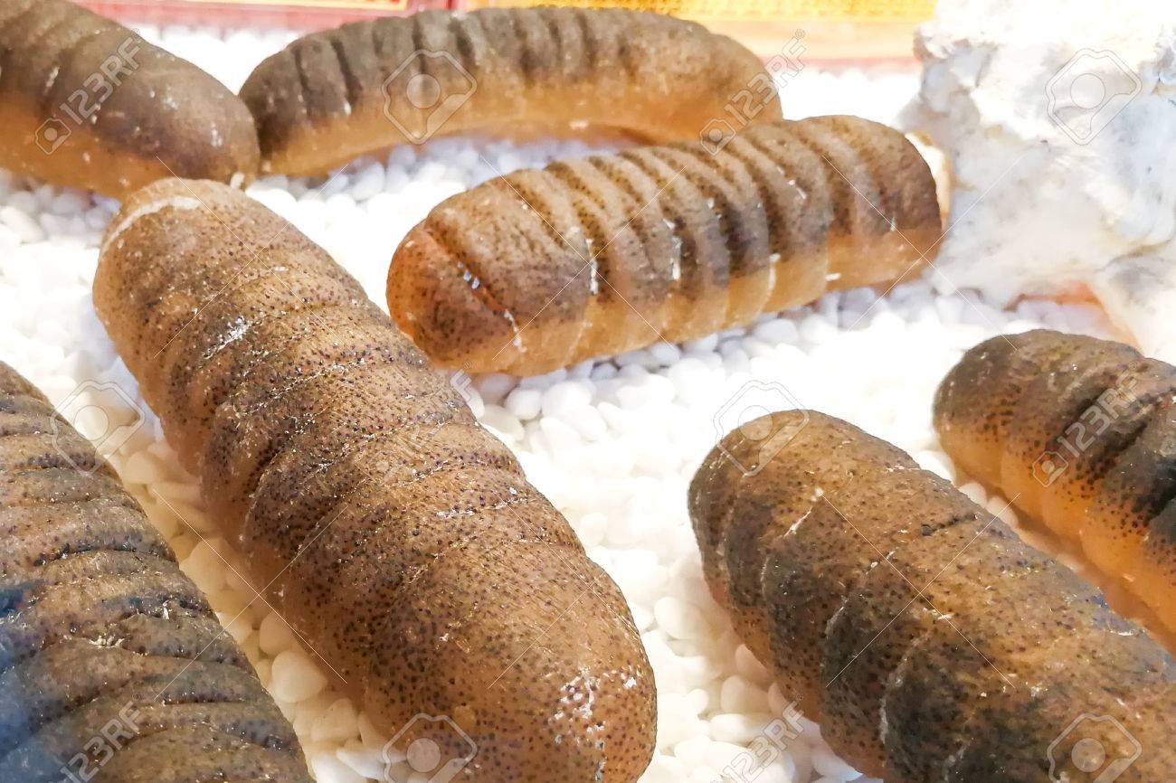 乾燥なまこ その栄養物値を若々しく維持するため中華料理の珍味 の写真素材 画像素材 Image