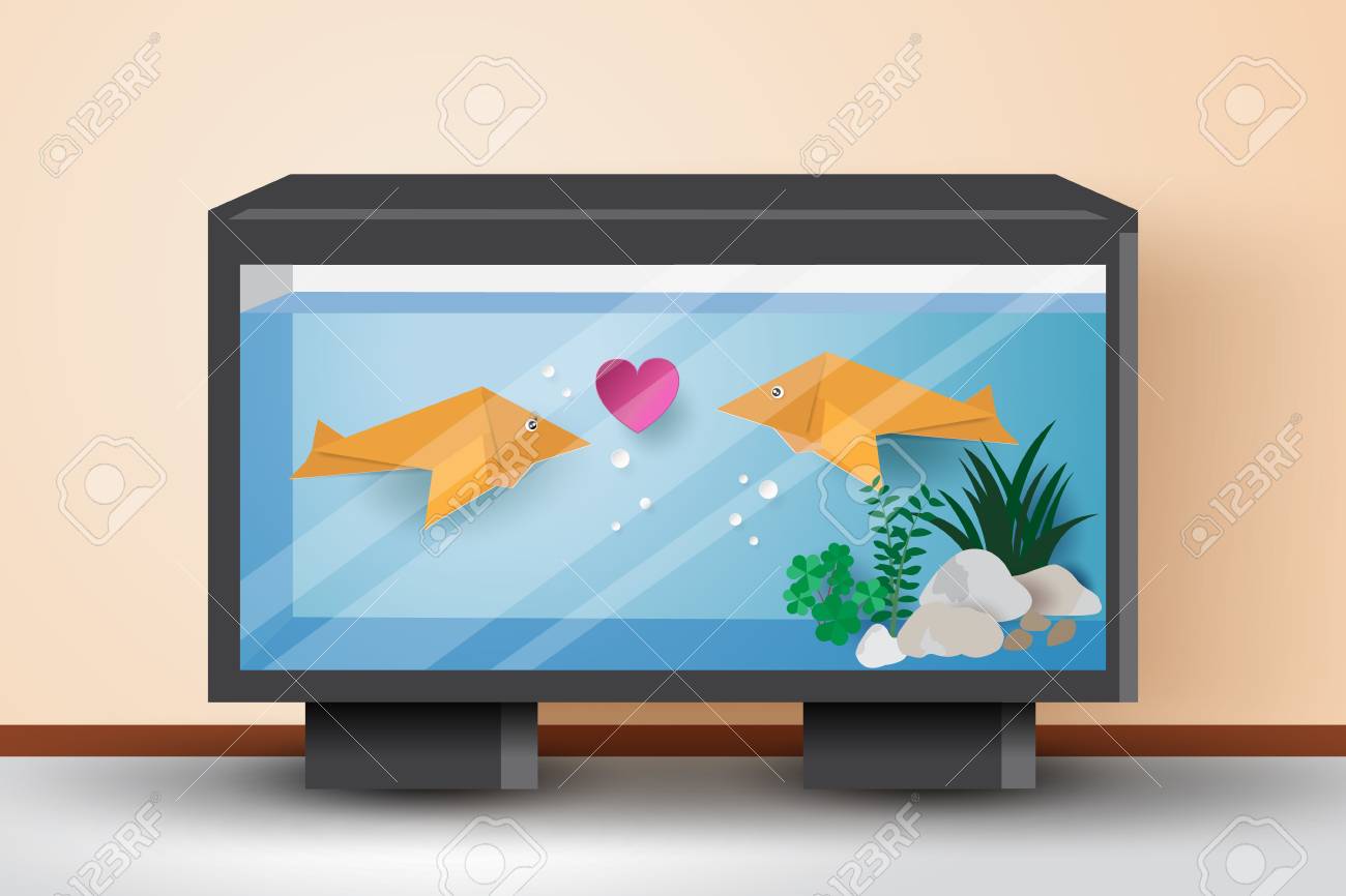 fish tank paper