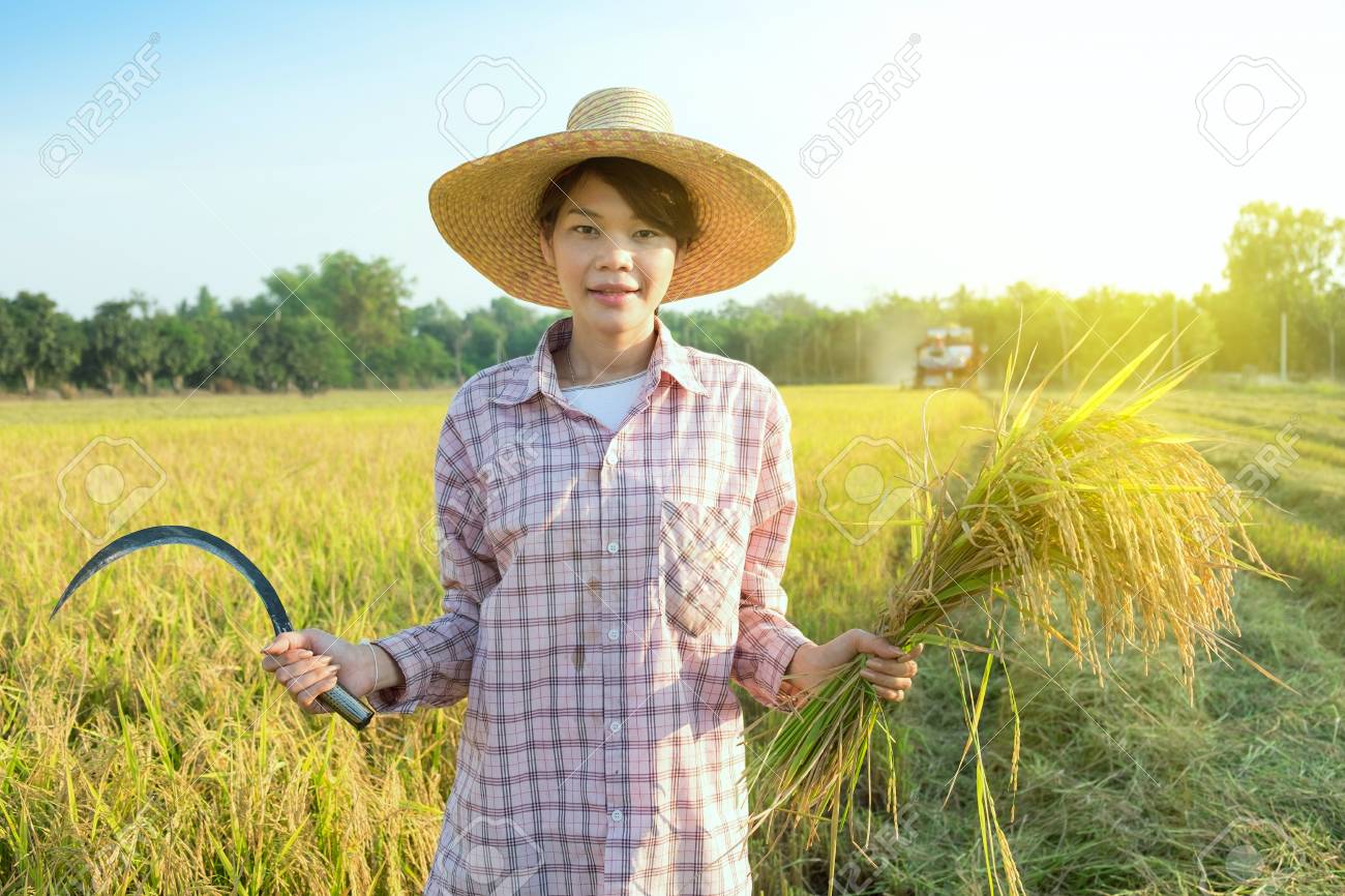 rice field hat