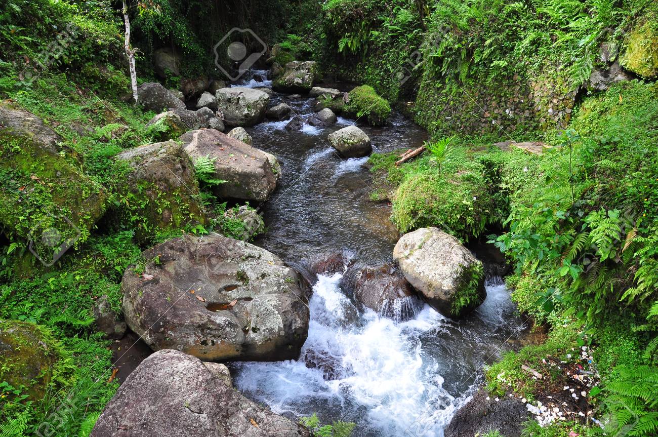 バリ インドネシア グヌン カウィ テンプル Pakerisan 川 の写真素材 画像素材 Image