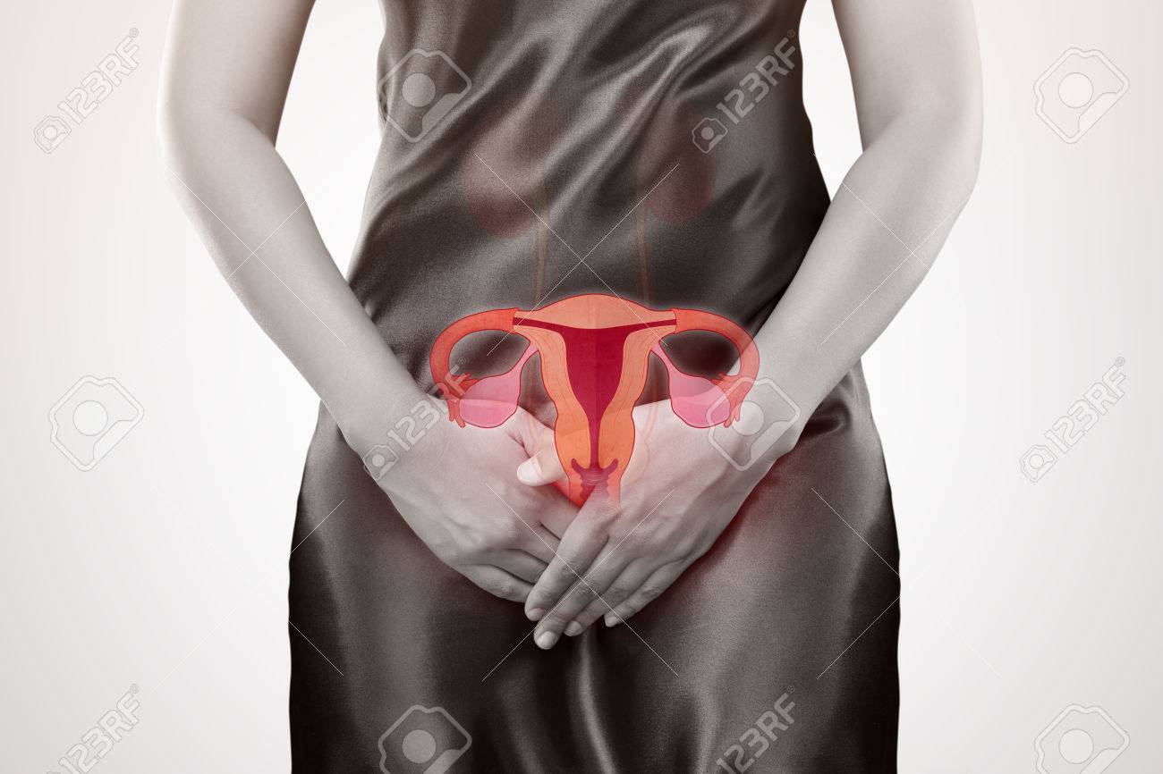 女の股 彼女の股を両手で女性。女性の解剖学の概念。の写真素材・画像素材 Image 82931809