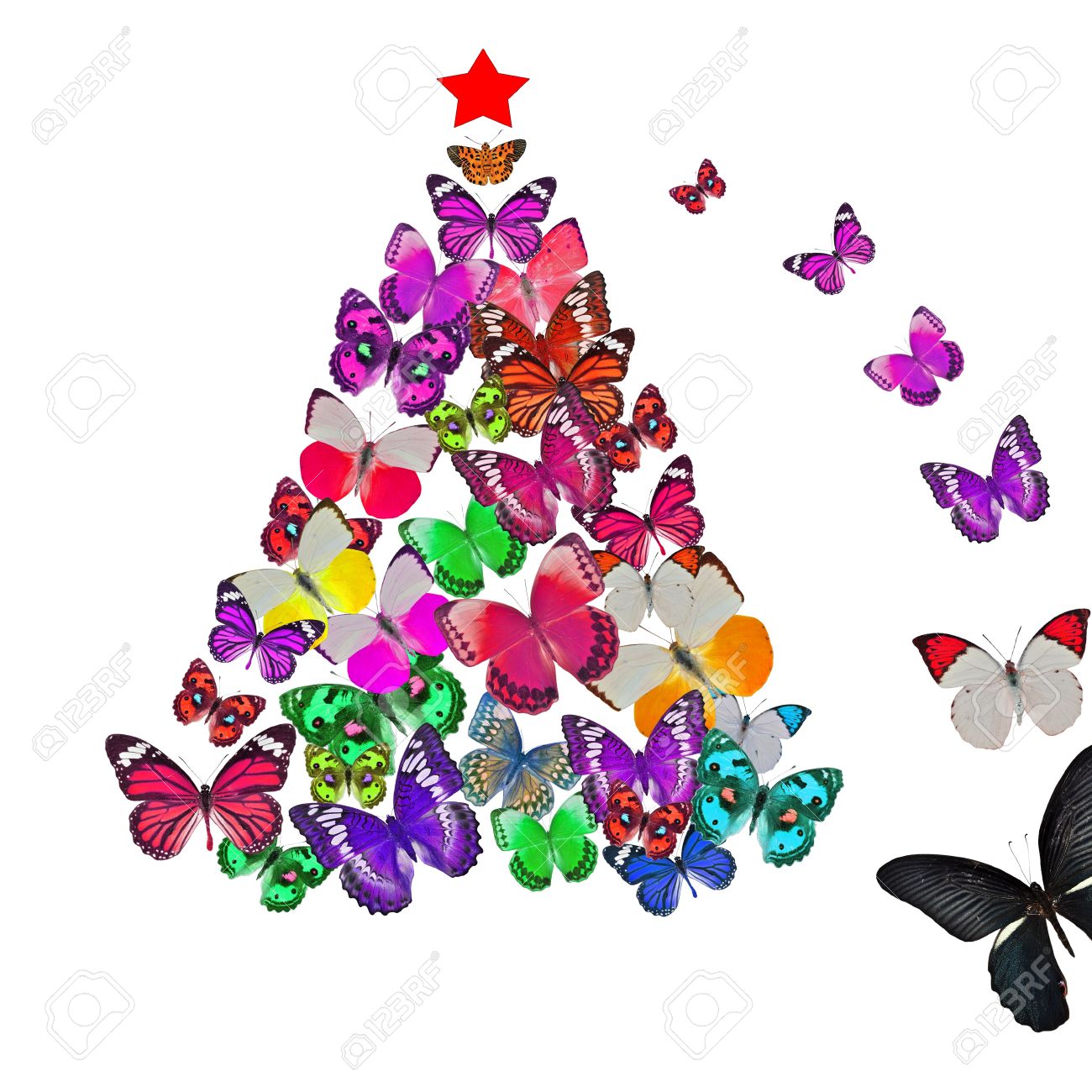 papillon noel