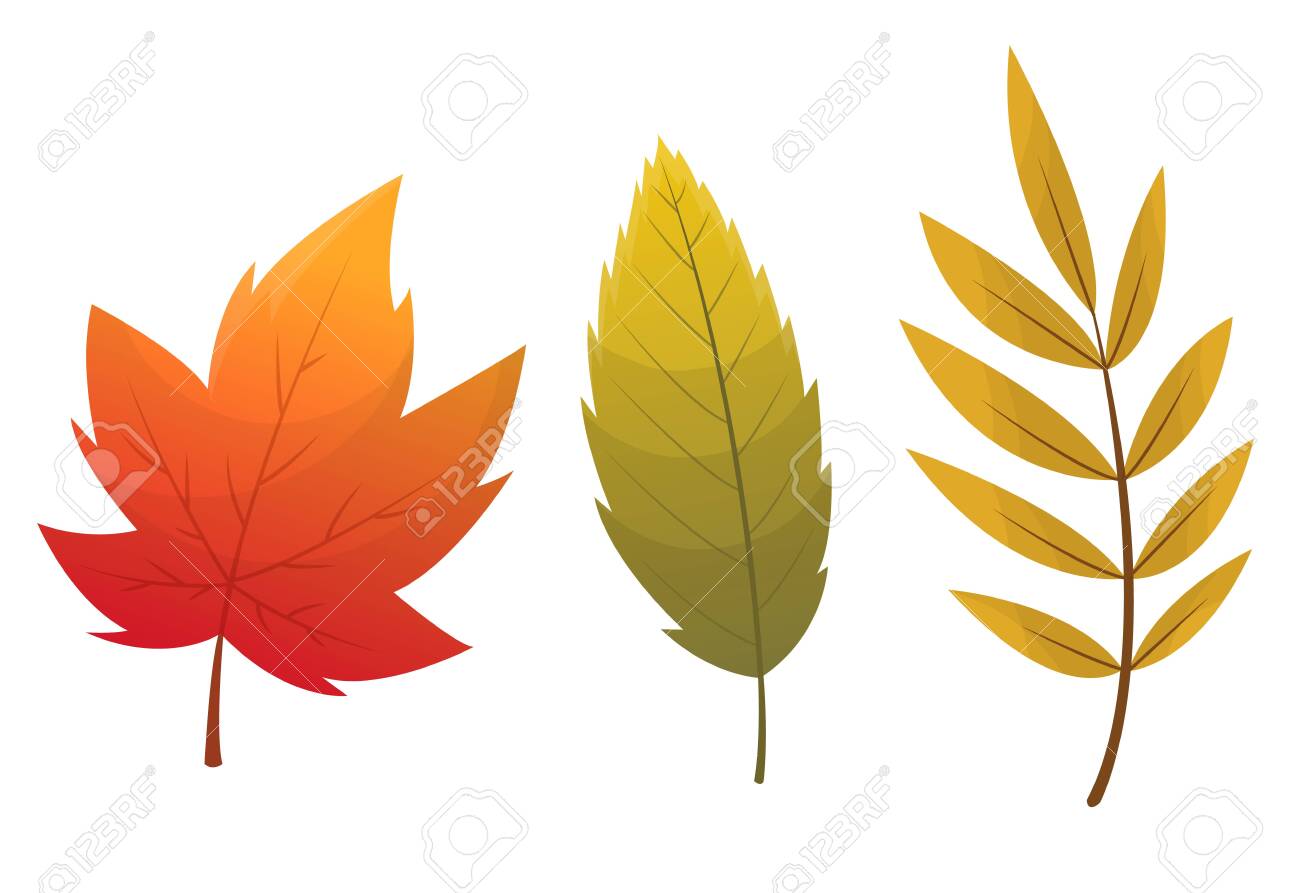 Fall Leaf Collection. Set Of Autumn Leaves, Isolated On White Background.  Simple Cartoon Flat Style, Vector Illustration. Multicolor Autumn Leaves  Flat Vector Icons Royalty Free SVG, Cliparts, Vectors, and Stock  Illustration. Image, image size:1300x893
