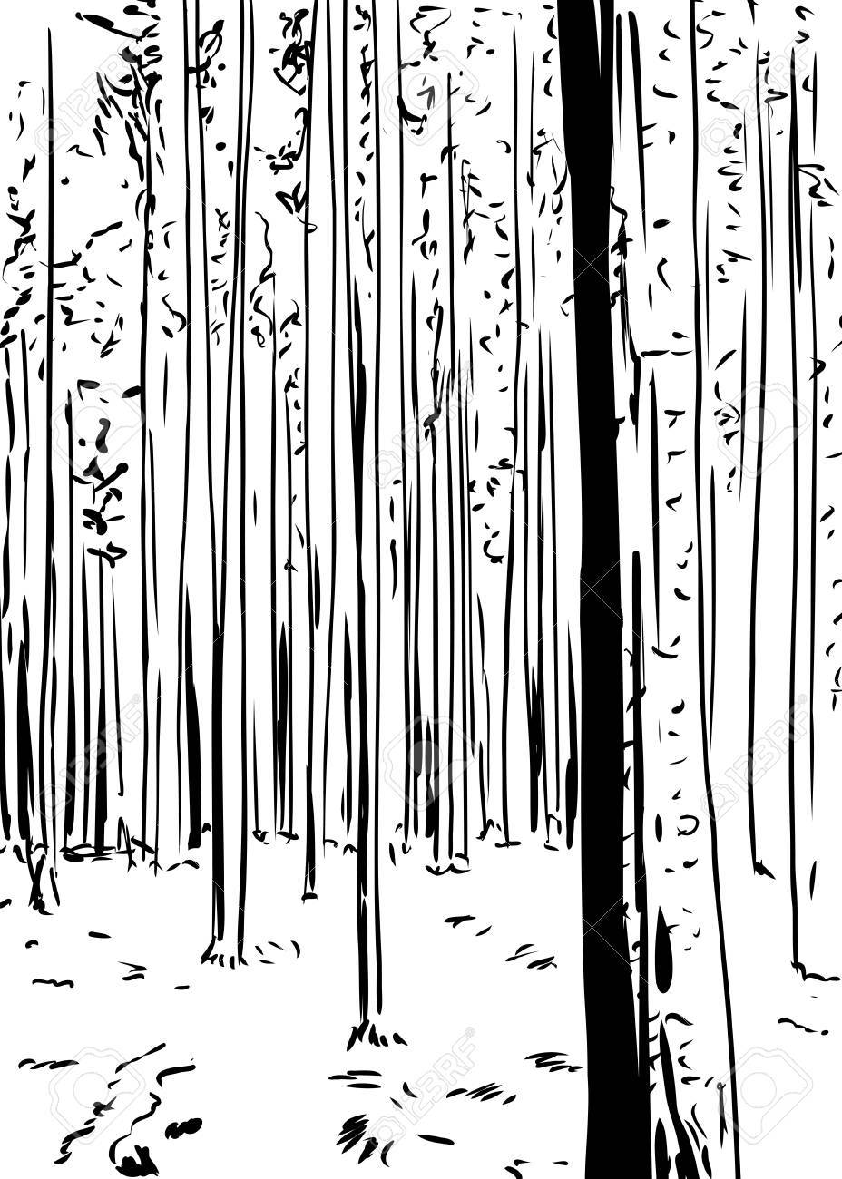 背の高い木と森林荒野の背景のフリーハンドの図を説明しました。 の