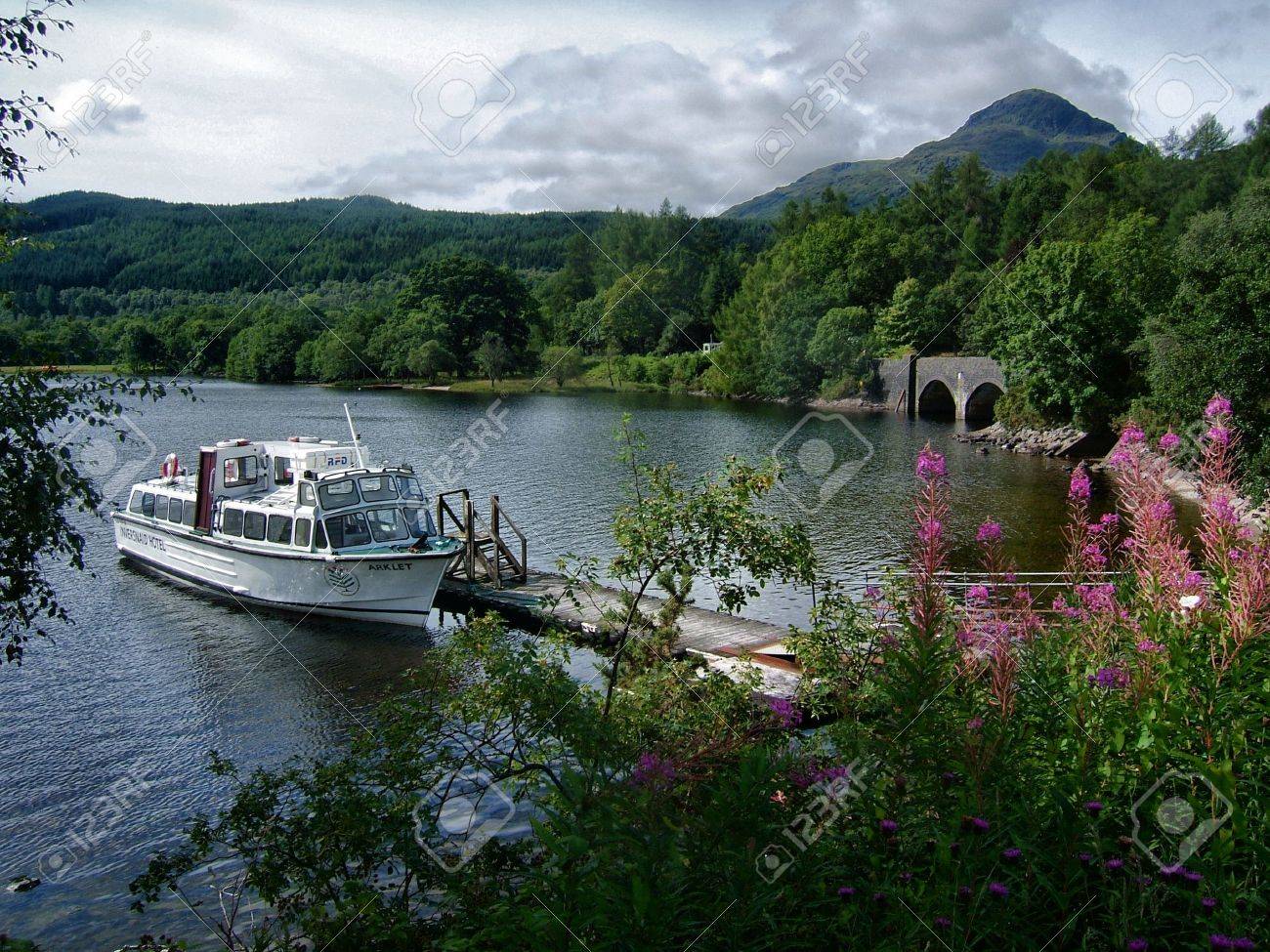 etiam-dictum-ipsum-a-felis