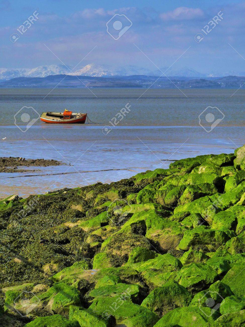 etiam-dictum-ipsum-a-felis