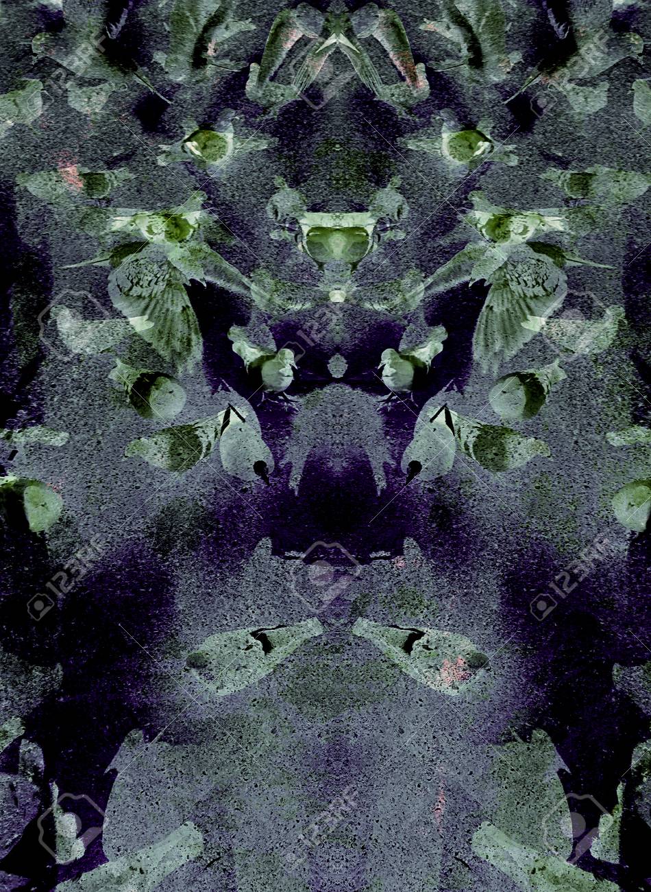 etiam-dictum-ipsum-a-felis