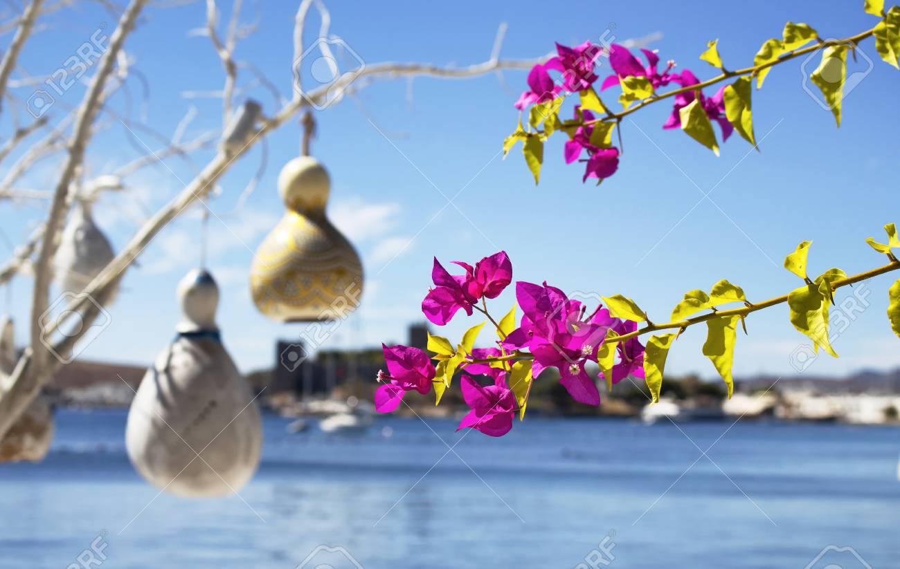 Bougainvillea Fleur Yachts Lampes Faites A La Main En Citrouille D Eau Calabash La Mer Egee Et Le Chateau De Bodrum Sont En Arriere Plan L Image Montre Le Style De Vie Et La Culture