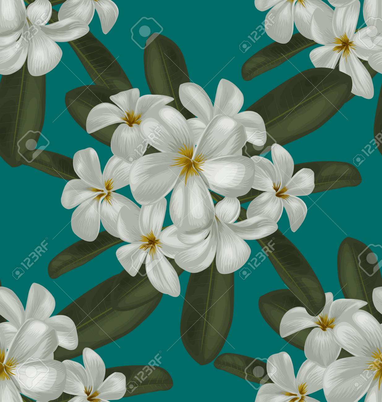 プルメリアのシームレスなパターンのイラストのイラスト素材 ベクタ Image
