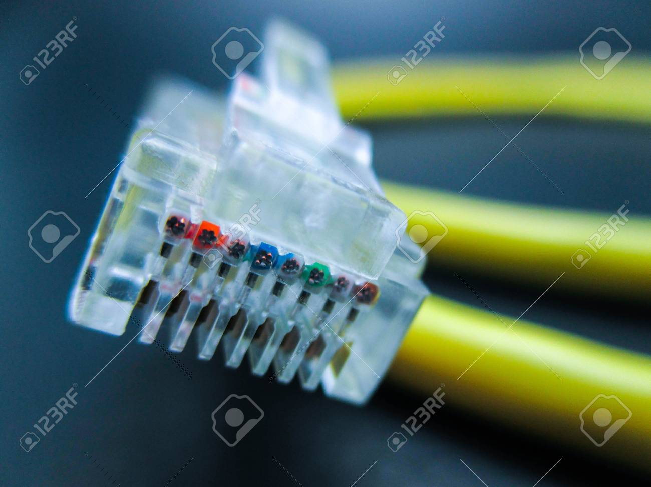 etiam-dictum-ipsum-a-felis