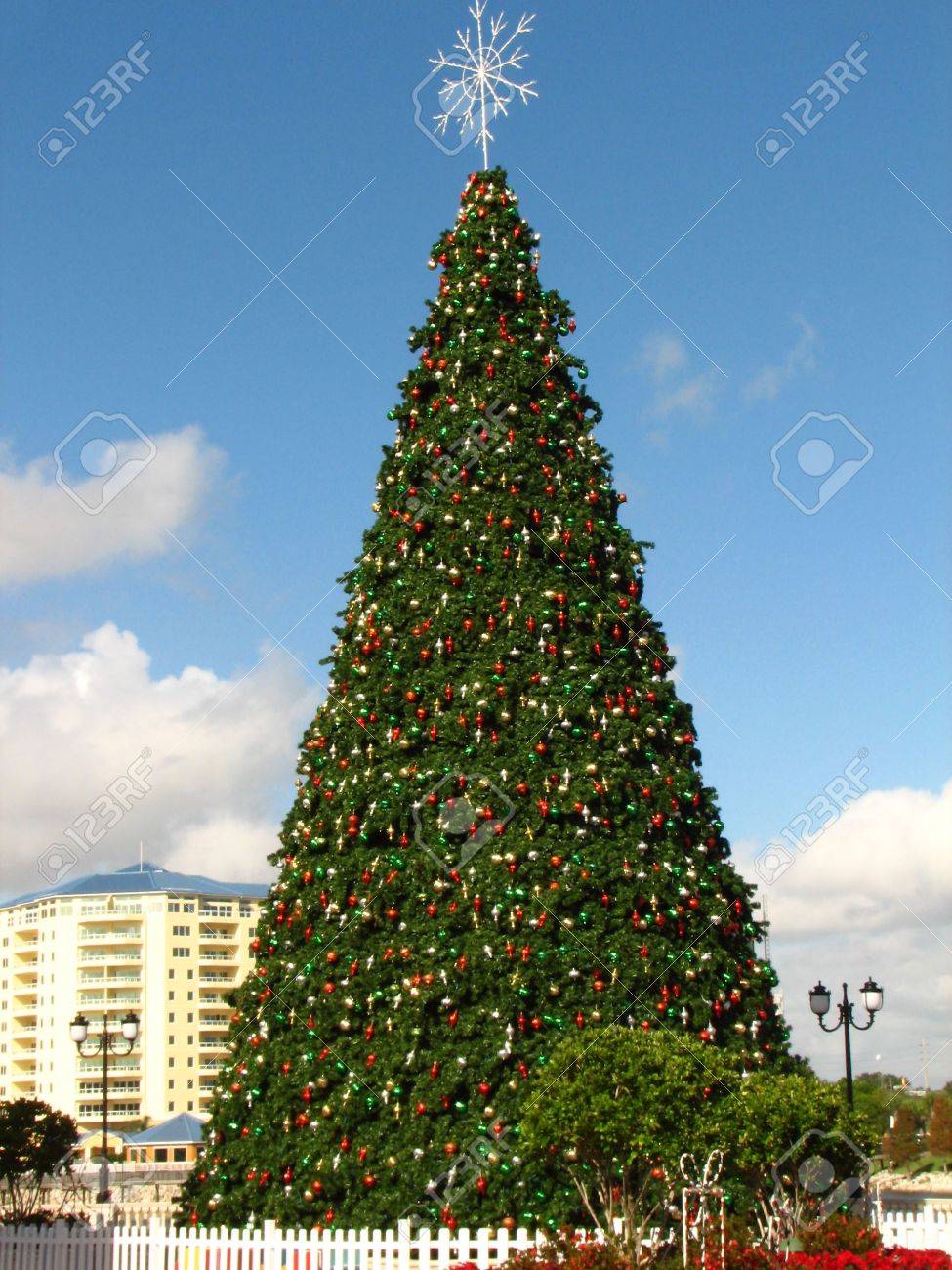 Cranes Roost Christmas 2022 Shot Of A Giant Christmas Tree At Cranes Roost Park In Altamonte Springs,  Florida. Stock Photo, Picture And Royalty Free Image. Image 647464.