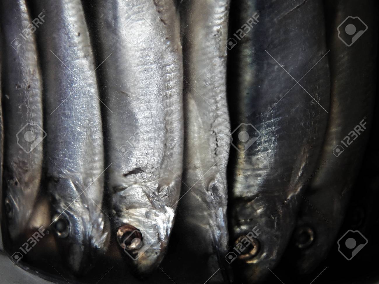 the canned sprat container