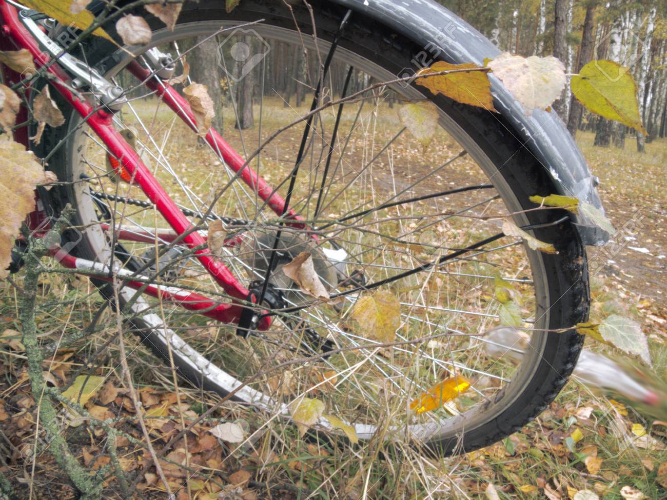 bike wheel reflectors