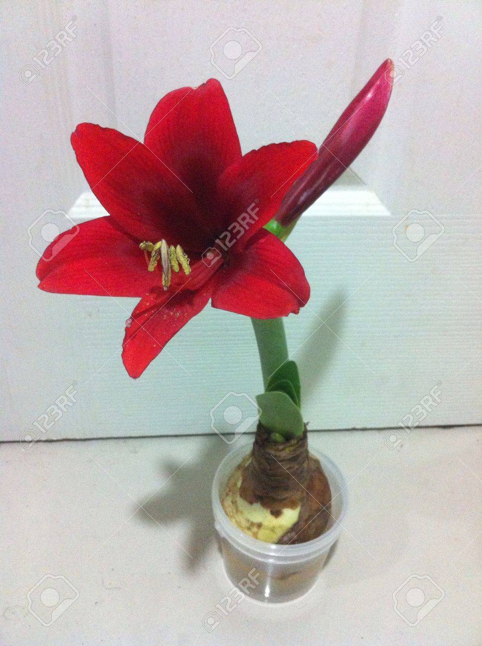 FACEBOOK_IMAGE