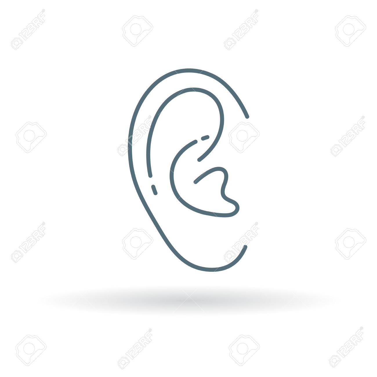Ear Icon. Ear Sign. Ear Symbol. Thin Line Icon On White Background. Vector  Illustration. Royalty Free SVG, Cliparts, Vectors, and Stock Illustration.  Image 49618694., image size:1300x1300