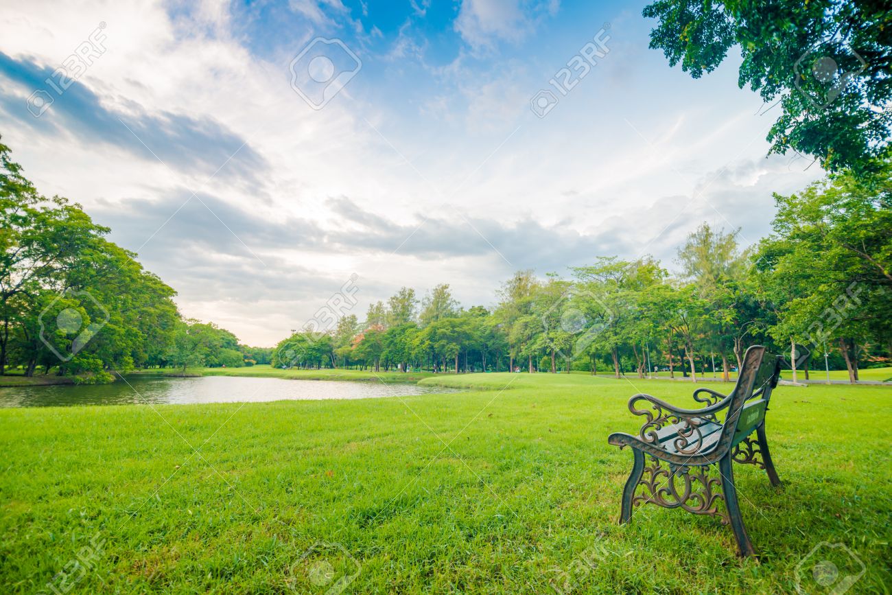 Rosa Bank Im Grunen Park Stockfoto Bild Von Lustig Leer 72342928