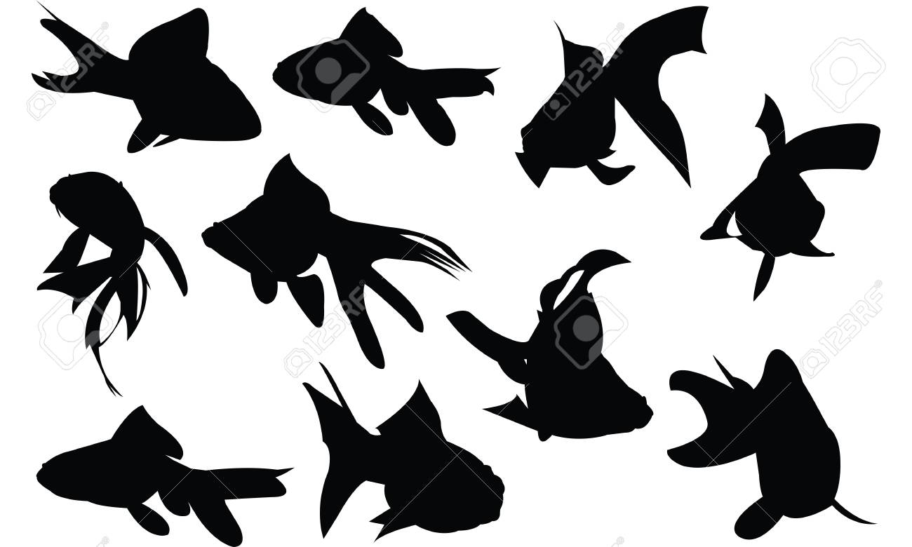 Gold Fish Silhouette Vector Illustration Royalty Free Svg Cliparts Vectors And Stock Illustration Image