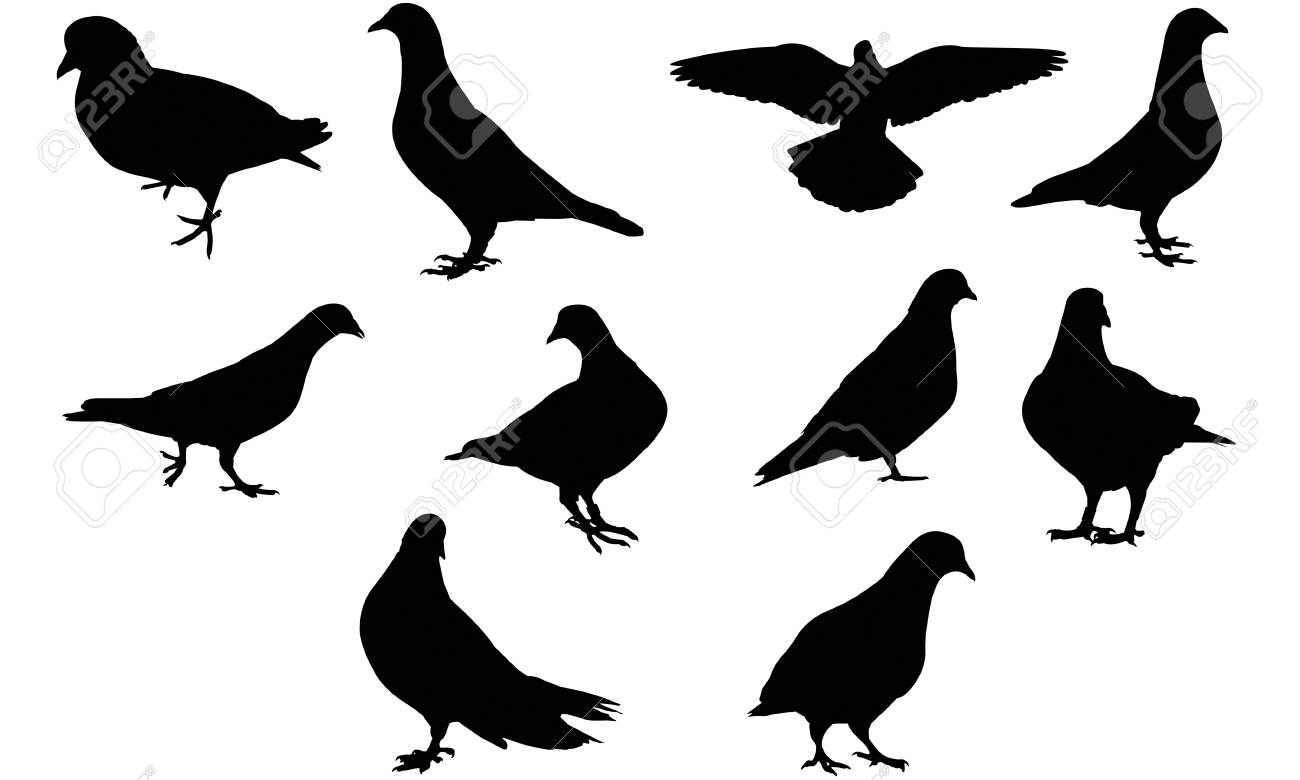 鳩のシルエットのイラスト のイラスト素材 ベクタ Image
