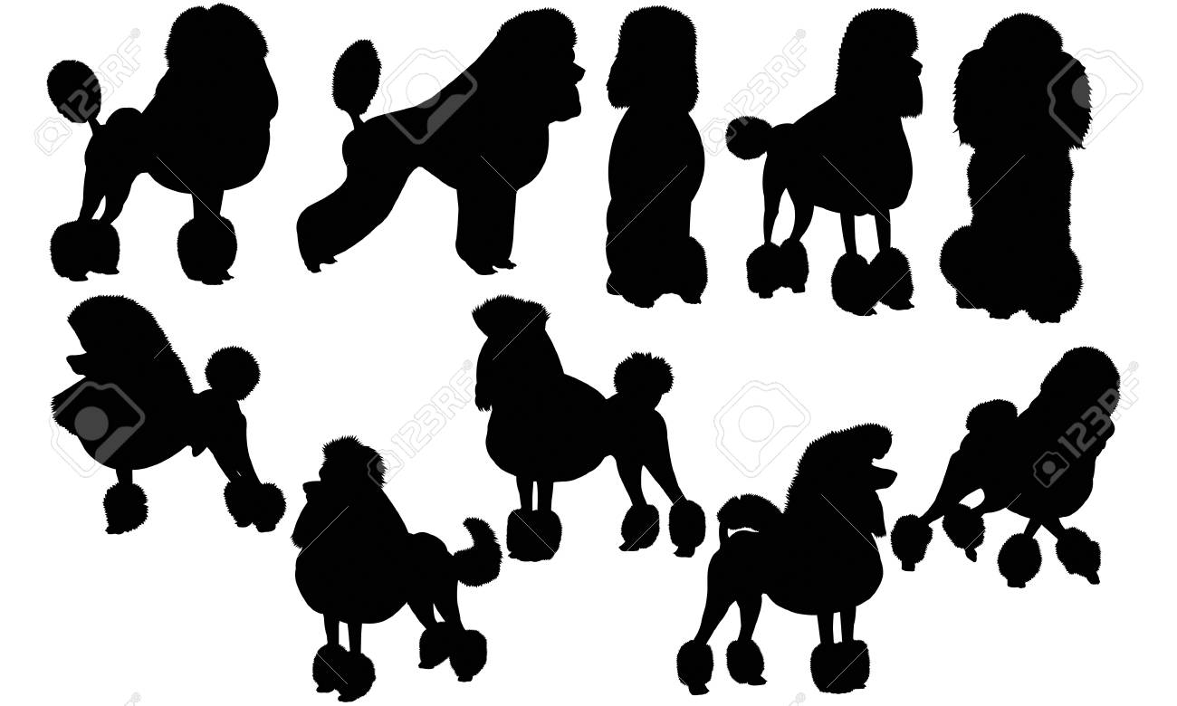 円 並行輸入品 オンリーワン ぺイブリーアート ペットシルエット Dog Silhoette トイプードル Nx2 Pa926 円 並行輸入品 オンリーワン ぺイブリーアート ペットシルエット Dog Silhoette トイプードル Nx2 Pa926