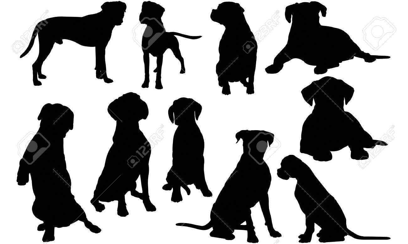 Download Boxer Dog Silhouette Illustration Royalty Free Cliparts Vectors And Stock Illustration Image 92159826