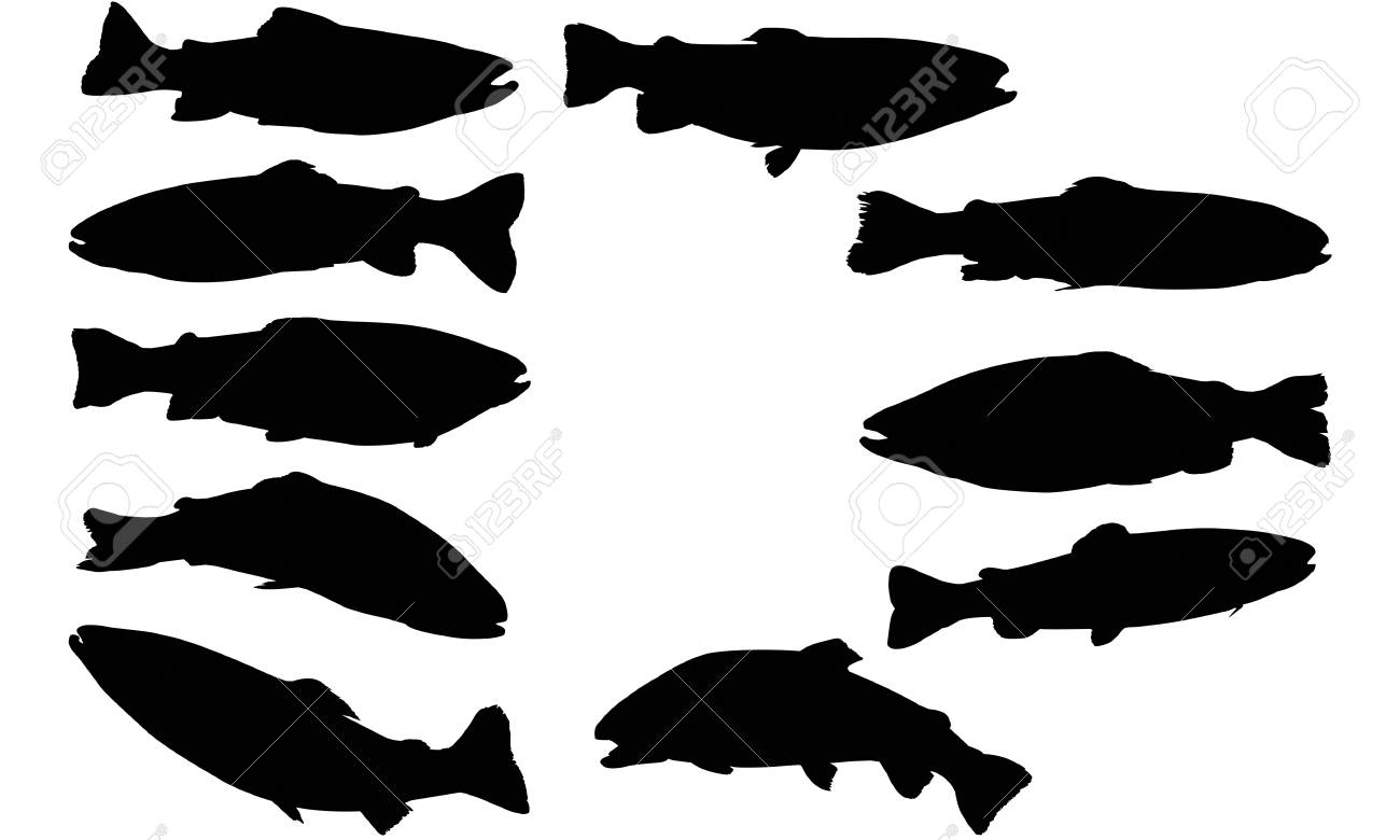 トラウトシルエットイラスト のイラスト素材 ベクタ Image